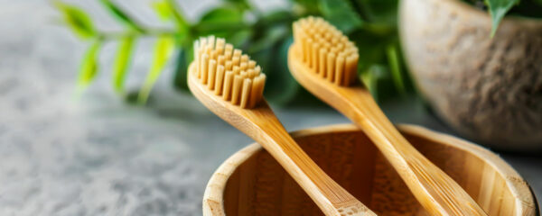 brosse à dents en bambou