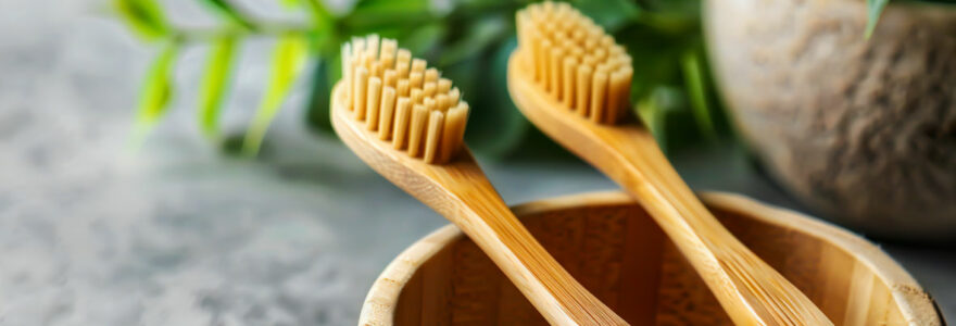 brosse à dents en bambou